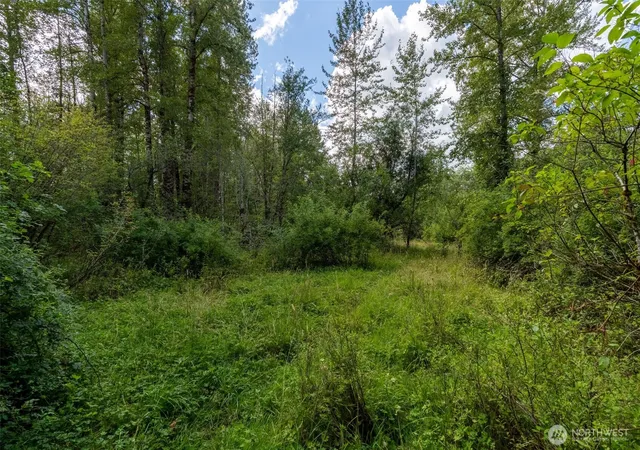 Photo 2 of Land for sale at 28901 State Route 706, Ashford, WA 98304 | MLS# NWM2561062 | Listing updated on 2026-09-25