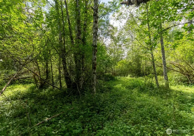 Photo 3 of Land for sale at 28901 State Route 706, Ashford, WA 98304 | MLS# NWM2561062 | Listing updated on 2026-09-25