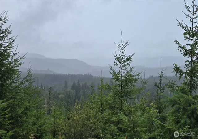 Photo 3 of Land for sale at 9207 Tract B Old Olympic Hwy NW, Olympia, WA 98502 | MLS# NWM2561171 | Listing updated on 2026-09-21