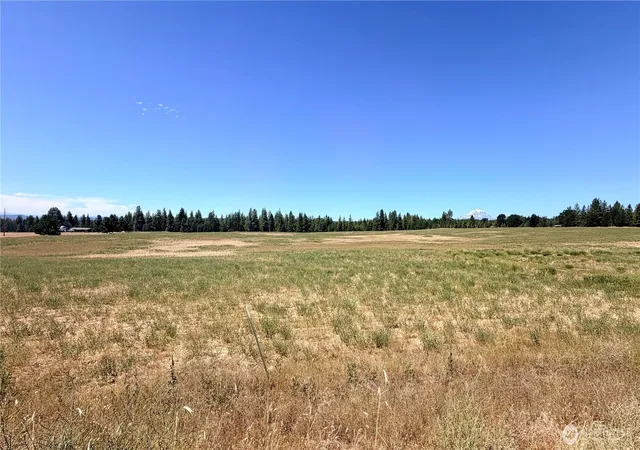 Photo 3 of Land for sale at 15 Lot 3 Buena Vista Rd, Goldendale, WA 98620 | MLS# NWM2561349 | Listing updated on 2026-09-23