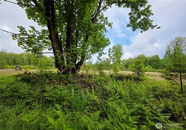 Photo 1 of Land for sale at 670 W Maple Rock Rd, Matlock, WA 98560 | MLS# NWM2561457 | Listing updated on 2026-09-23