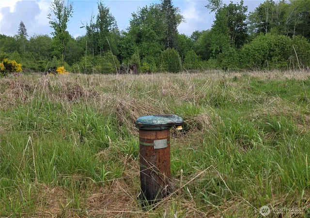 Photo 3 of Land for sale at 670 W Maple Rock Rd, Matlock, WA 98560 | MLS# NWM2561457 | Listing updated on 2026-09-23