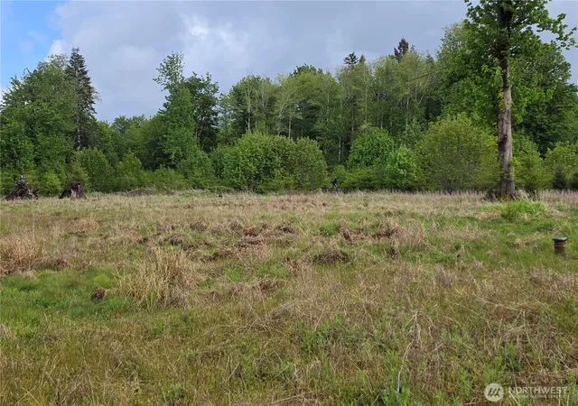 Photo 3 of Land for sale at 670 W Maple Rock Rd, Matlock, WA 98560 | MLS# NWM2561457 | Listing updated on 2026-09-23