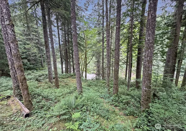 Photo 2 of Manufactured home for sale at 194 E Big River Blvd #3, Deming, WA 98244 | MLS# NWM2561766 | Listing updated on 2026-09-23