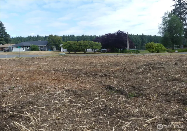 Photo 2 of Land for sale at 10107 Narrows Dr, Anderson Island, WA 98303 | MLS# NWM2561803 | Listing updated on 2026-09-23