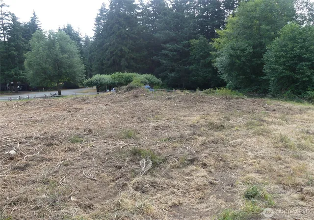 Photo 3 of Land for sale at 10107 Narrows Dr, Anderson Island, WA 98303 | MLS# NWM2561803 | Listing updated on 2026-09-23