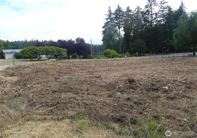 Photo 3 of Land for sale at 10107 Narrows Dr, Anderson Island, WA 98303 | MLS# NWM2561803 | Listing updated on 2026-09-23