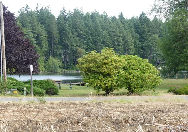 Photo 4 of Land for sale at 10107 Narrows Dr, Anderson Island, WA 98303 | MLS# NWM2561803 | Listing updated on 2026-09-23