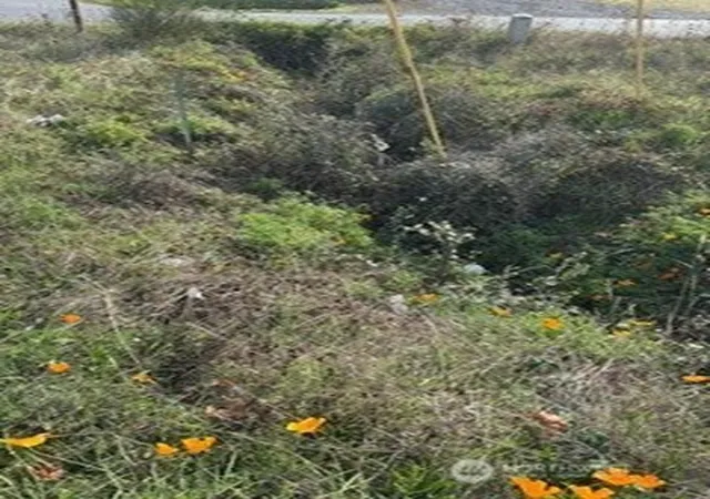Photo 1 of Land for sale at 13 Slate Dr, Port Angeles, WA 98362 | MLS# NWM2561808 | Listing updated on 2026-09-23