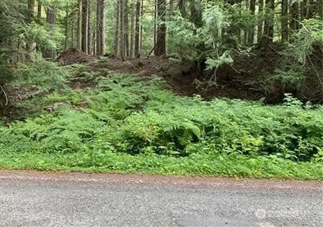 Photo 2 of Land for sale at 87442 Ne Old Cascade Hwy, Skykomish, WA 98288 | MLS# NWM2561859 | Listing updated on 2026-09-23
