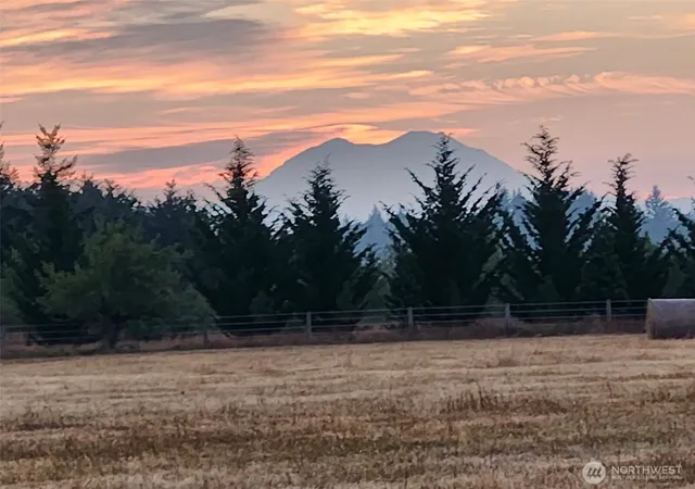 Photo 1 of Sale Pending at 177 Poetsch Rd, Toledo, WA 98591 | MLS# NWM2561988 | Listing updated on 2026-09-30