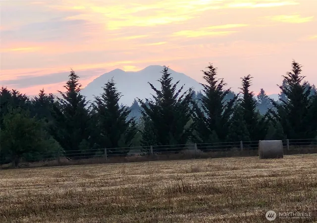Photo 3 of Sale Pending at 177 Poetsch Rd, Toledo, WA 98591 | MLS# NWM2561988 | Listing updated on 2026-09-30