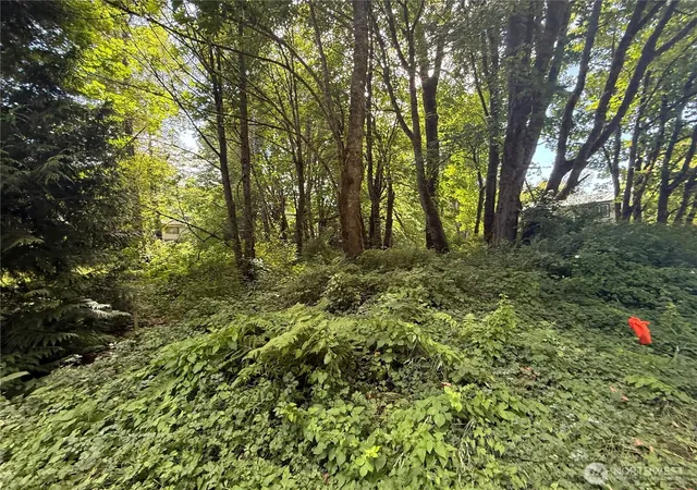 Photo 1 of Land for sale at 0 Cape Horn Dr, Concrete, WA 98237 | MLS# NWM2562001 | Listing updated on 2026-09-23