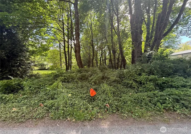 Photo 3 of Land for sale at 0 Cape Horn Dr, Concrete, WA 98237 | MLS# NWM2562001 | Listing updated on 2026-09-23