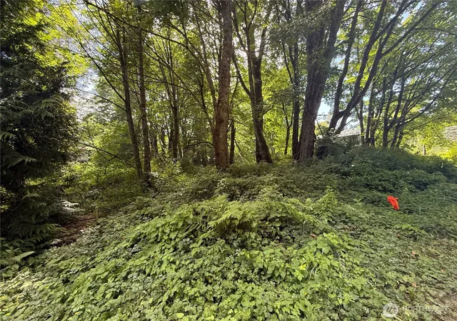 Photo 3 of Land for sale at 0 Cape Horn Dr, Concrete, WA 98237 | MLS# NWM2562001 | Listing updated on 2026-09-23