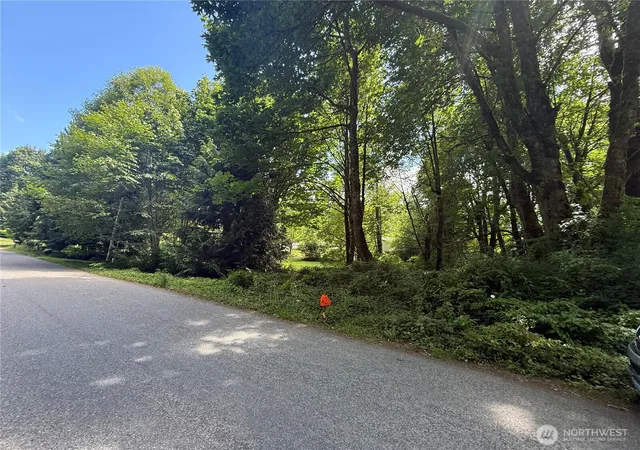 Photo 4 of Land for sale at 0 Cape Horn Dr, Concrete, WA 98237 | MLS# NWM2562001 | Listing updated on 2026-09-23