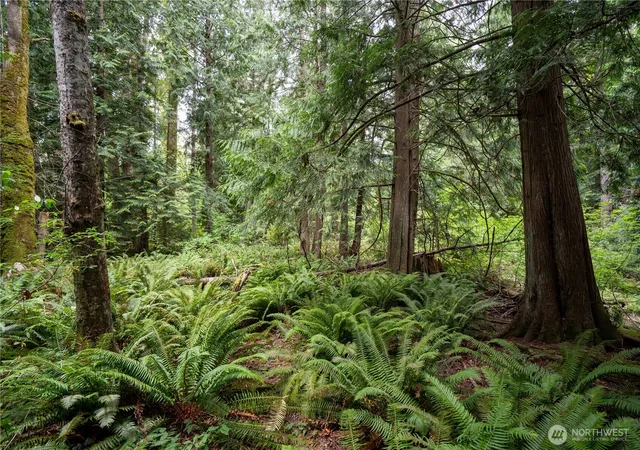 Photo 3 of Land for sale at 0 E Nhn Horton Rd, Bellingham, WA 98226 | MLS# NWM2562120 | Listing updated on 2026-09-23
