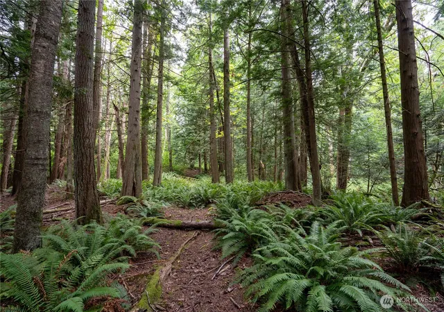 Photo 4 of Land for sale at 0 E Nhn Horton Rd, Bellingham, WA 98226 | MLS# NWM2562120 | Listing updated on 2026-09-23