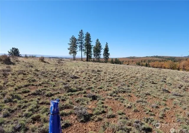 Photo 1 of Land for sale at 0 Lot 36 Bluebird Ridge #1, Goldendale, WA 98620 | MLS# NWM2562148 | Listing updated on 2026-08-02