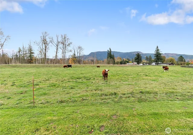 Photo 4 of Single family home for sale at 107 S Pass Rd #14, Nooksack, WA 98276 | MLS# NWM2562487 | Listing updated on 2026-09-23