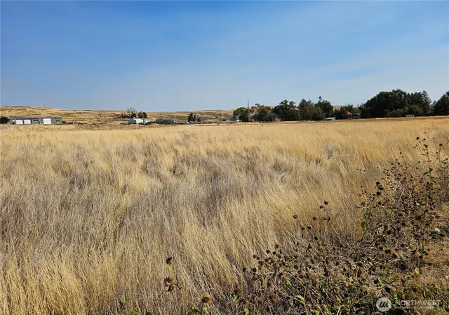 Photo 2 of Land for sale at 6 W North Ave, Washtucna, WA 99371 | MLS# NWM2562555 | Listing updated on 2026-09-23