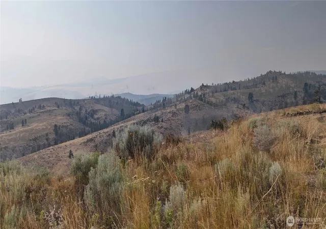 Photo 3 of Land for sale at 0 Nna Purtteman Gulch Rd, Chelan, WA 98816 | MLS# NWM2562891 | Listing updated on 2026-09-23
