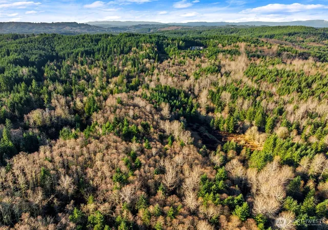Photo 3 of Land for sale at 7848 Wapiti Ln Se, Tenino, WA 98589 | MLS# NWM2562900 | Listing updated on 2026-09-23
