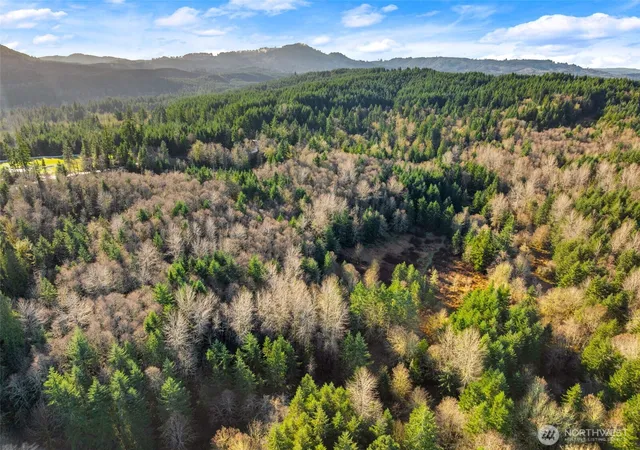 Photo 4 of Land for sale at 7848 Wapiti Ln SE, Tenino, WA 98589 | MLS# NWM2562900 | Listing updated on 2026-09-23