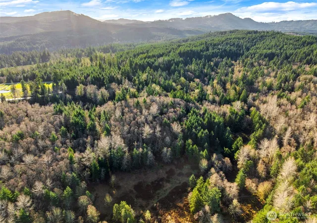 Photo 3 of Land for sale at 7840 Wapiti Ln Se, Tenino, WA 98589 | MLS# NWM2562901 | Listing updated on 2026-09-23