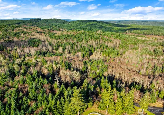 Photo 4 of Land for sale at 7840 Wapiti Ln SE, Tenino, WA 98589 | MLS# NWM2562901 | Listing updated on 2026-09-23