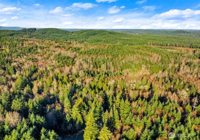 Photo 3 of Land for sale at 7002 Nanitch Ln SE, Tenino, WA 98589 | MLS# NWM2562902 | Listing updated on 2026-09-23