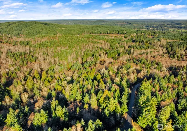 Photo 4 of Land for sale at 7002 Nanitch Ln SE, Tenino, WA 98589 | MLS# NWM2562902 | Listing updated on 2026-09-23
