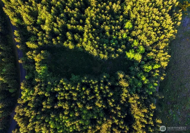 Photo 2 of Land for sale at 7024 Nanitch Ln Se, Tenino, WA 98589 | MLS# NWM2562903 | Listing updated on 2026-09-23