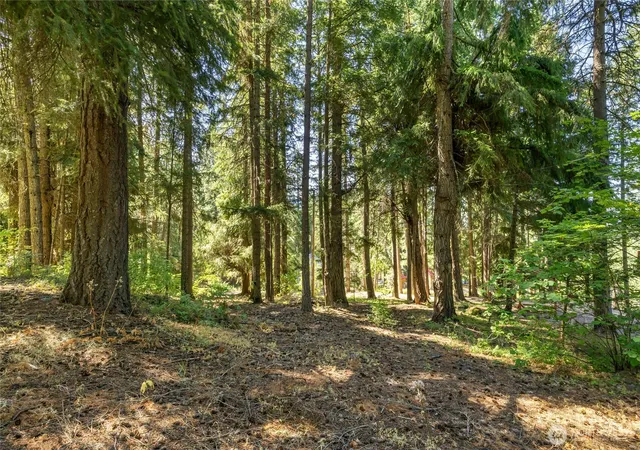 Photo 3 of Land for sale at 171 Dundee Rd, Ronald, WA 98940 | MLS# NWM2562911 | Listing updated on 2026-09-23