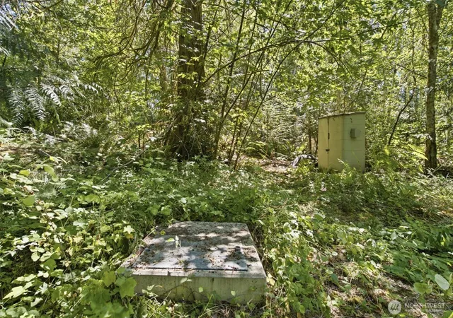Photo 4 of Land for sale at 3009 Whiteman Rd SW, Lakebay, WA 98349 | MLS# NWM2563015 | Listing updated on 2026-09-23