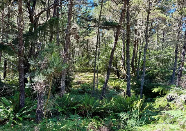 Photo 3 of Land for sale at 4009 J Ln, Seaview, WA 98644 | MLS# NWM2563039 | Listing updated on 2026-09-23