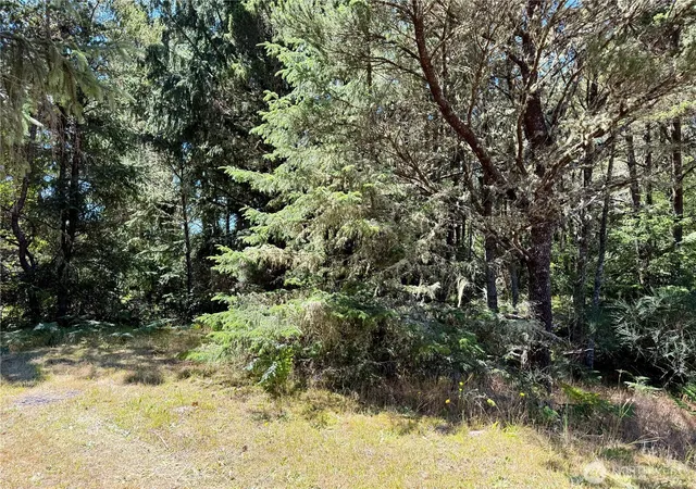 Photo 3 of Land for sale at 4009 J Ln, Seaview, WA 98644 | MLS# NWM2563039 | Listing updated on 2026-09-23