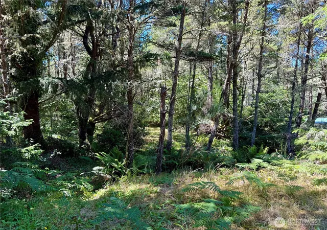 Photo 4 of Land for sale at 4009 J Ln, Seaview, WA 98644 | MLS# NWM2563039 | Listing updated on 2026-09-23