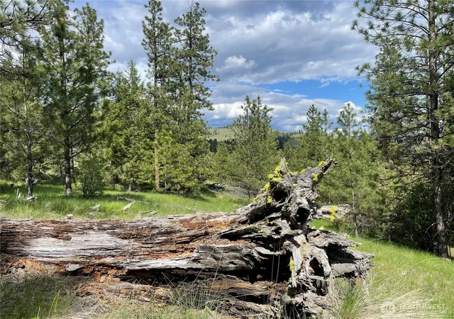 Photo 3 of Land for sale at 112 Tbd Sunrise Rd, Oroville, WA 98844 | MLS# NWM2563216 | Listing updated on 2026-09-23