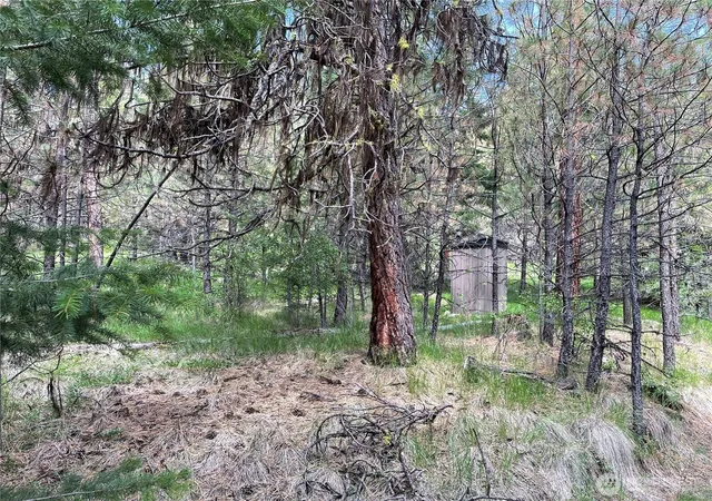 Photo 4 of Land for sale at 112 Tbd Sunrise Rd, Oroville, WA 98844 | MLS# NWM2563216 | Listing updated on 2026-09-23