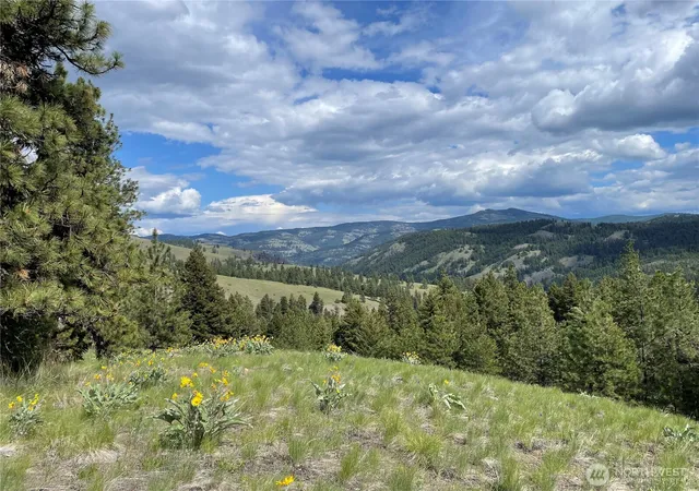 Photo 1 of Land for sale at 111 Tbd Sunrise Rd, Oroville, WA 98844 | MLS# NWM2563220 | Listing updated on 2026-09-23