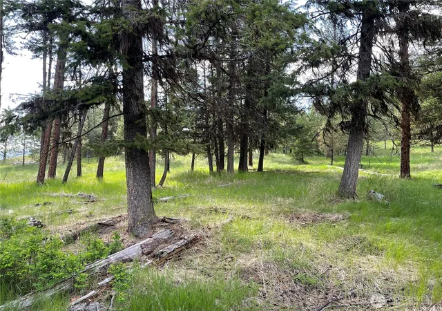 Photo 2 of Land for sale at 111 Tbd Sunrise Rd, Oroville, WA 98844 | MLS# NWM2563220 | Listing updated on 2026-09-23