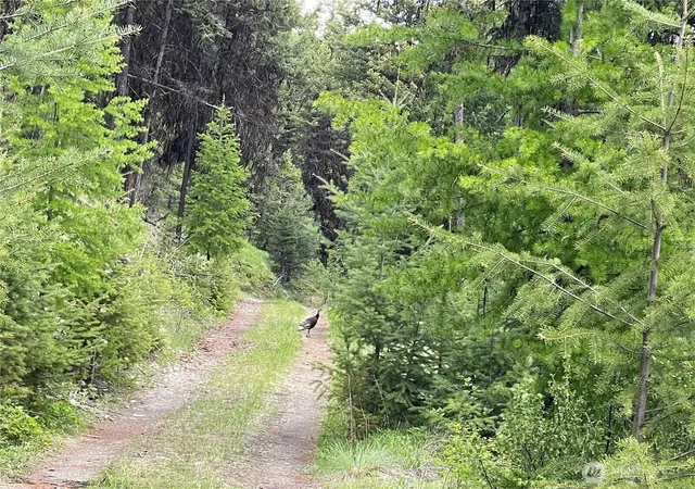Photo 3 of Land for sale at 111 Tbd Sunrise Rd, Oroville, WA 98844 | MLS# NWM2563220 | Listing updated on 2026-09-23
