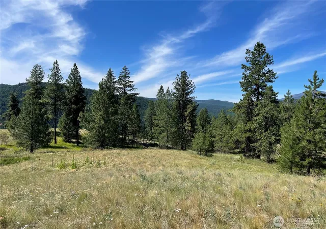 Photo 3 of Land for sale at 111 Tbd Sunrise Rd, Oroville, WA 98844 | MLS# NWM2563220 | Listing updated on 2026-09-23
