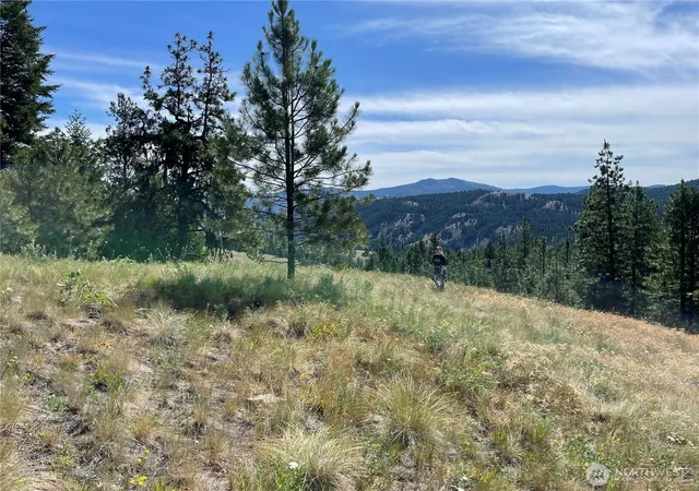 Photo 4 of Land for sale at 111 Tbd Sunrise Rd, Oroville, WA 98844 | MLS# NWM2563220 | Listing updated on 2026-09-23