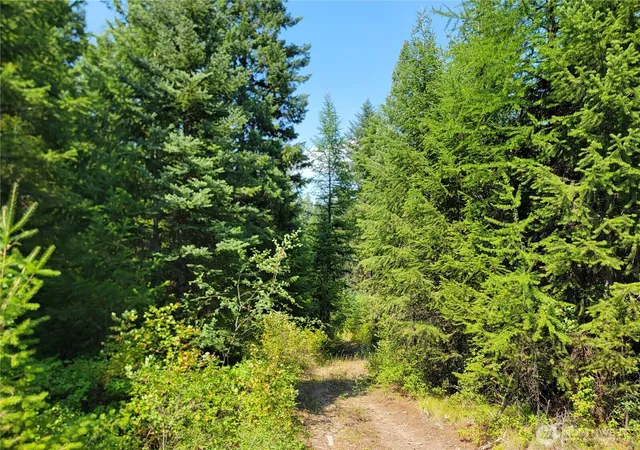 Photo 2 of Land for sale at 181 New Hope Dr, Malo, WA 99150 | MLS# NWM2563248 | Listing updated on 2026-09-23