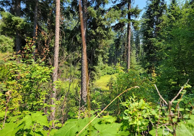 Photo 3 of Land for sale at 181 New Hope Dr, Malo, WA 99150 | MLS# NWM2563248 | Listing updated on 2026-09-23