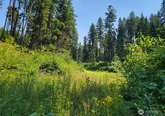 Photo 3 of Land for sale at 181 New Hope Dr, Malo, WA 99150 | MLS# NWM2563248 | Listing updated on 2026-09-23