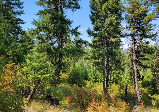 Photo 4 of Land for sale at 181 New Hope Dr, Malo, WA 99150 | MLS# NWM2563248 | Listing updated on 2026-09-23