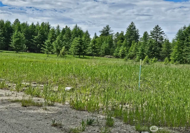 Photo 3 of Sale Pending at 111 Tbd Summer Rd, Tonasket, WA 98855 | MLS# NWM2563394 | Listing updated on 2026-08-23